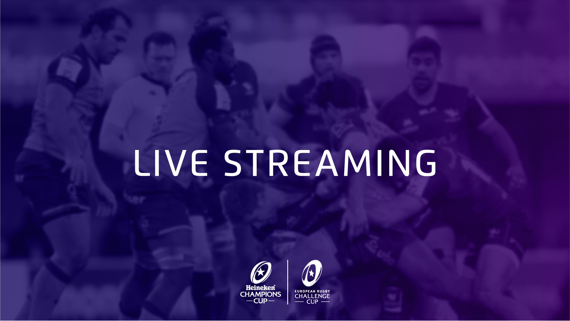 Heineken Champions Cup European Rugby Challenge Cup Live Streaming